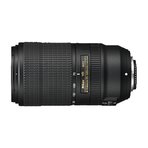 AF-P NIKKOR 70-300MM F4.5-5.6E ED VR