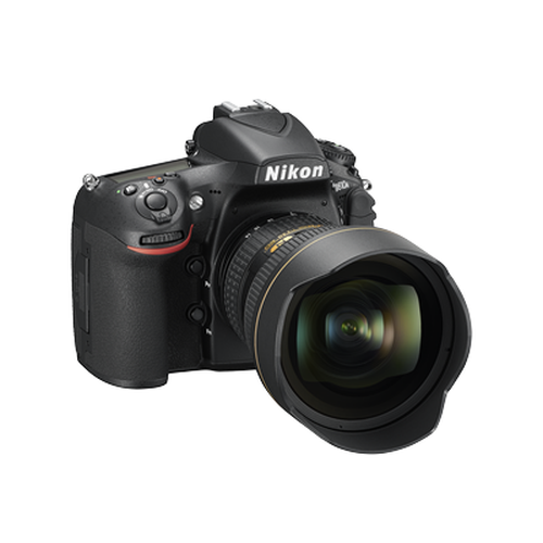 D810A