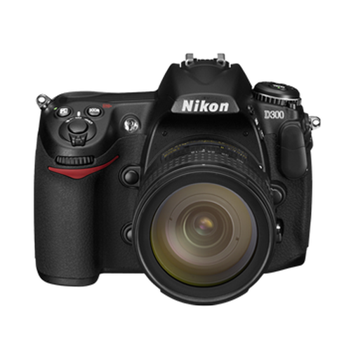 D300